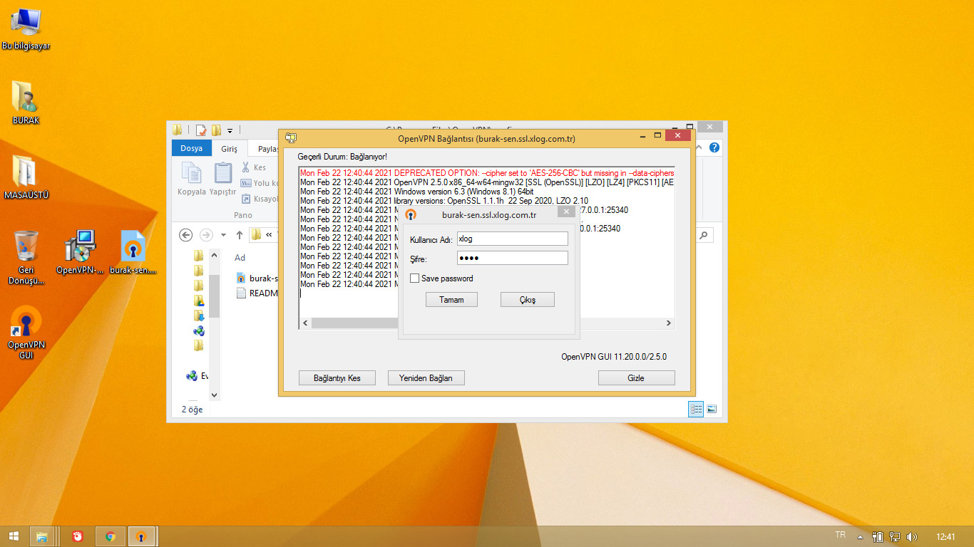 Xlog OpenVPN windows 8.1/10 user login