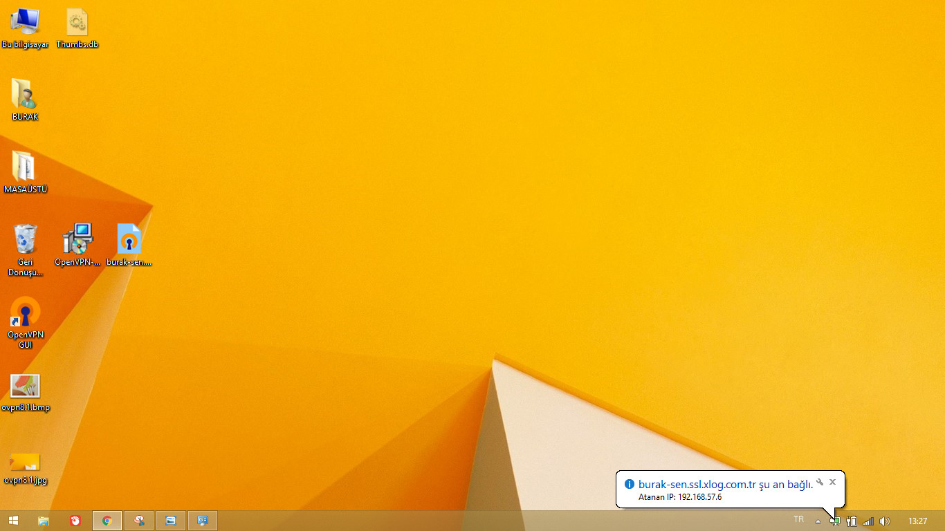 XLog OpenVPN connected windows 8.1/10
