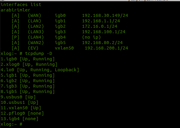 xlog cli interfaces list