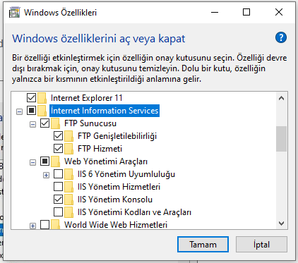 IIS FTP server feature enable